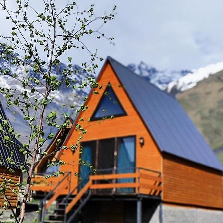 Kazbegi Compass Lejlighed Værelse billede